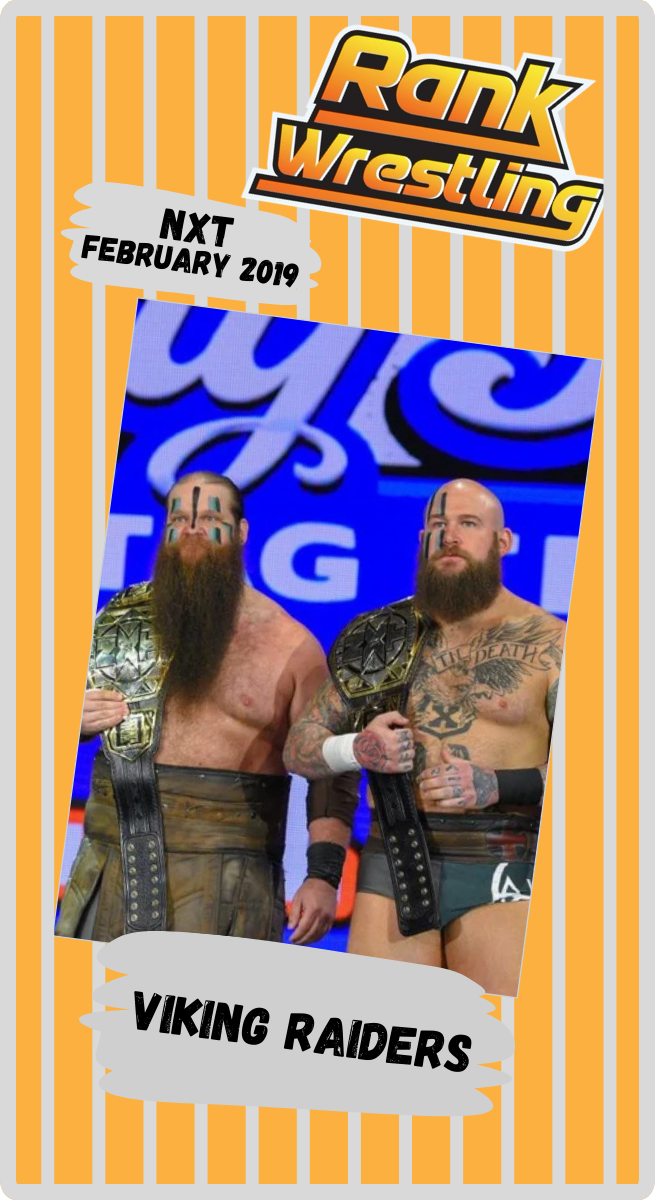 Viking Raiders
