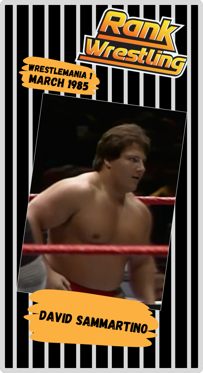 David Sammartino
